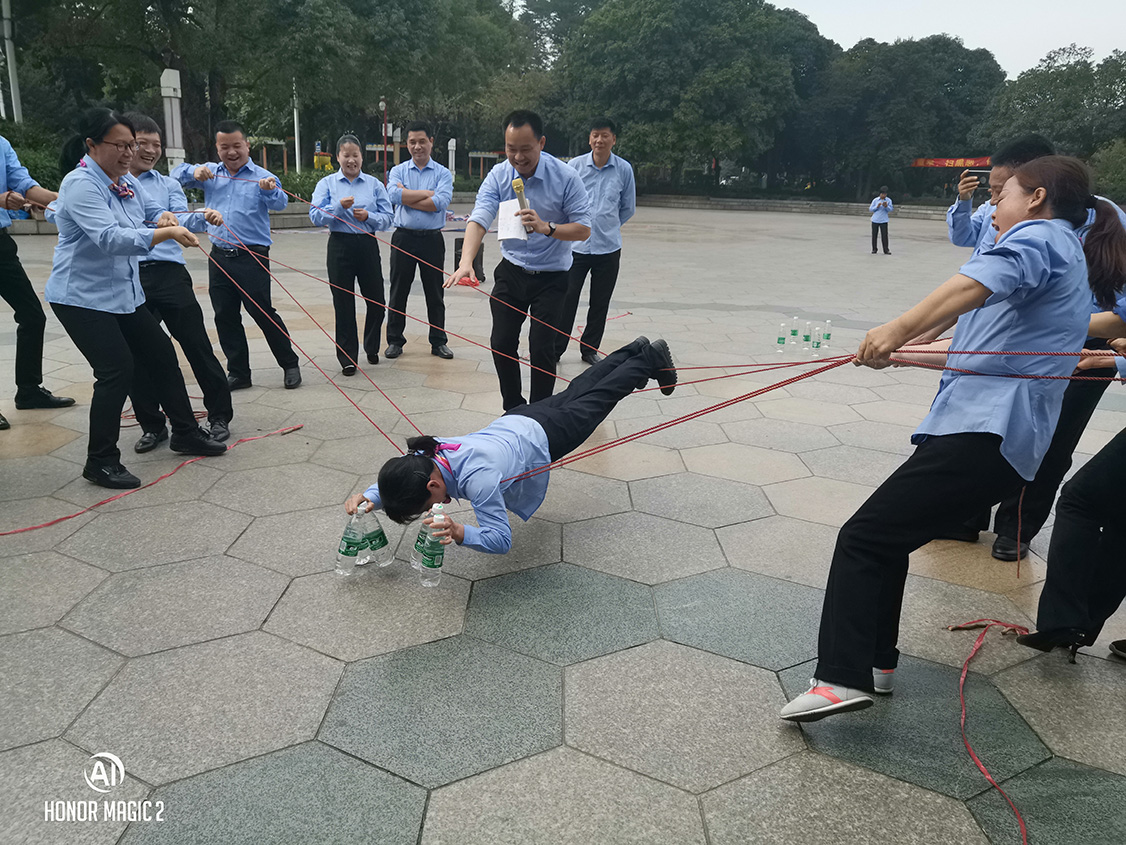 公司管理(lǐ)人員定期開展拓展培訓活動